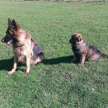 Landhuis Lezamakoetxe