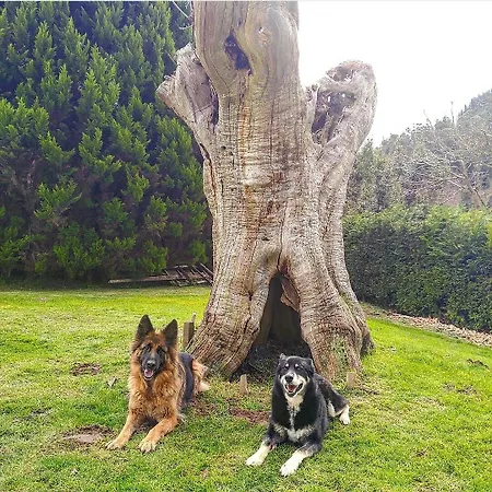 Landhuis Lezamakoetxe Sopuerta