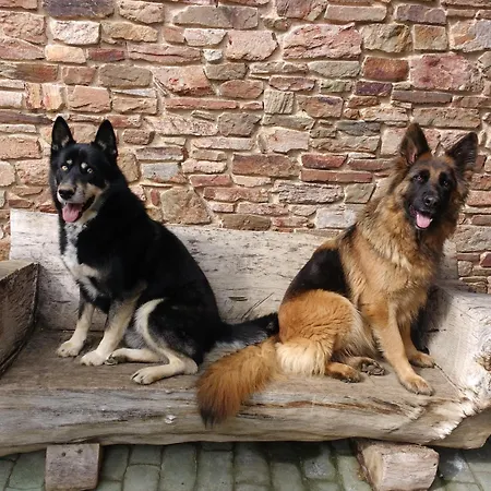 Landhuis Lezamakoetxe Sopuerta