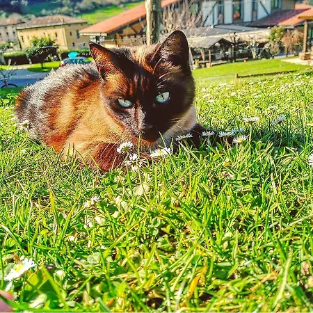 Lezamakoetxe Sopuerta