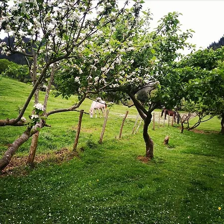 Lezamakoetxe * Sopuerta